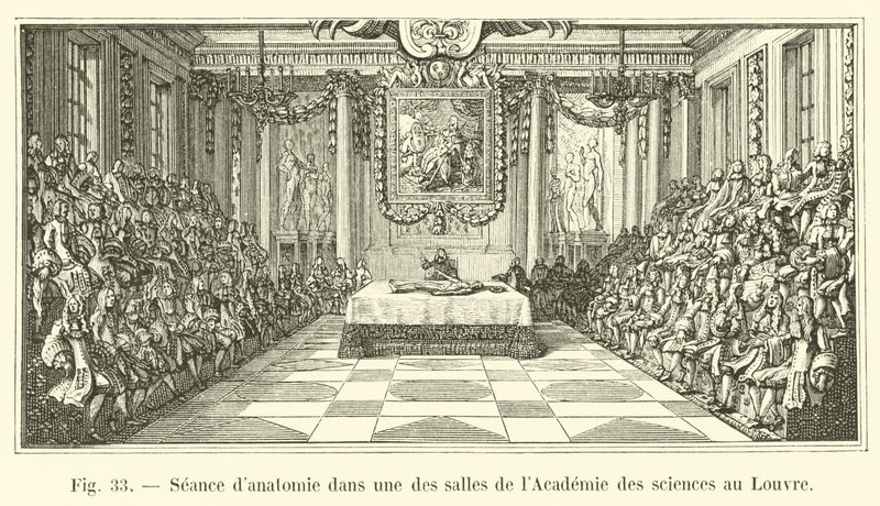 Anatomi-session i et af værelserne på Videnskabsakademiet på Louvre af French School
