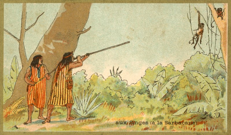 Sydamerikanske indianere, der jager aber med blæserør (chromolitho) af French School