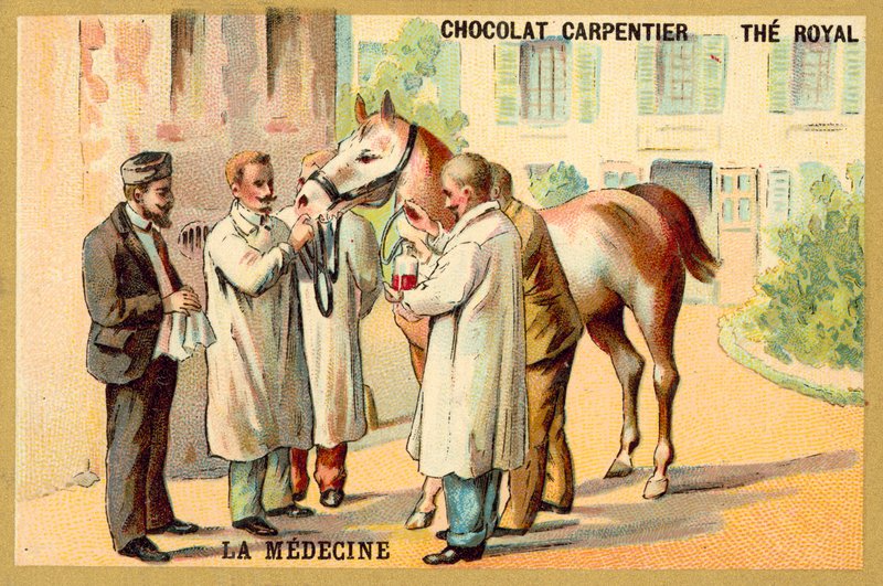 Tage blod fra en hest (chromolitho) af French School