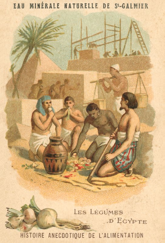 Ægyptens grøntsager (chromolitho) af French School