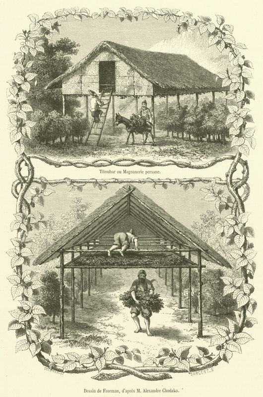 Tilembar eller Magnanerie persane (gravering) af French School