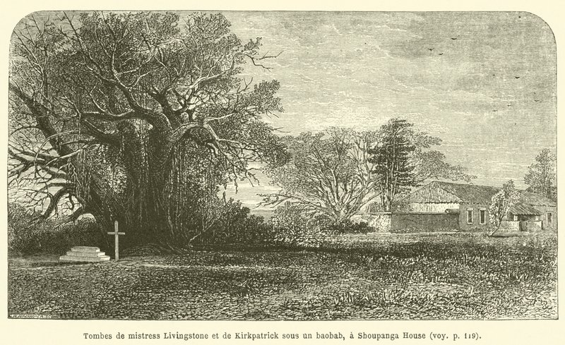 Grave af fru Livingstone og Kirkpatrick under et baobabtræ, ved Shoupanga House (gravering) af French School