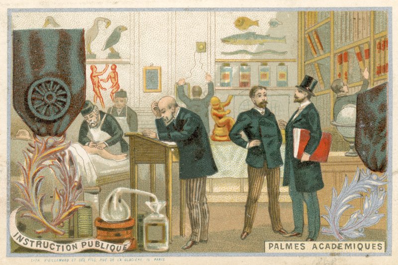 Byttekort med et billede af Ordre des Palmes Academiques af French School