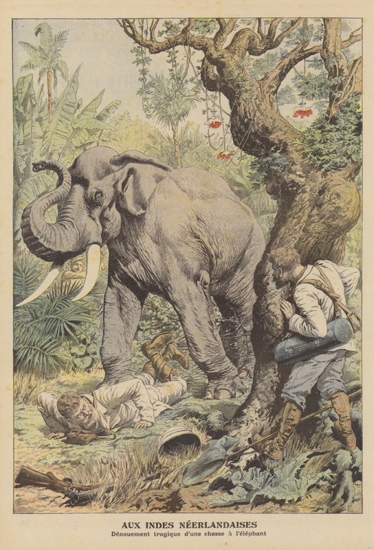 Tragisk afslutning på en elefantjagt i Hollandsk Ostindien (farve litho) af French School