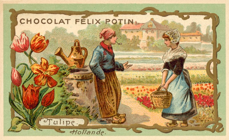 Tulipaner, Holland (chromolitho) af French School