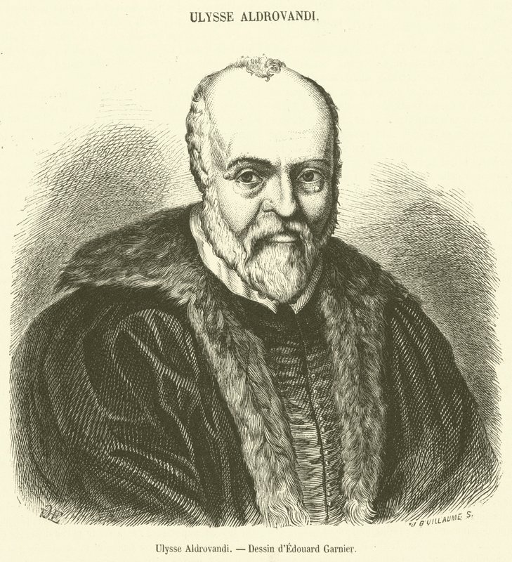 Ulysses Aldrovandi (gravering) af French School