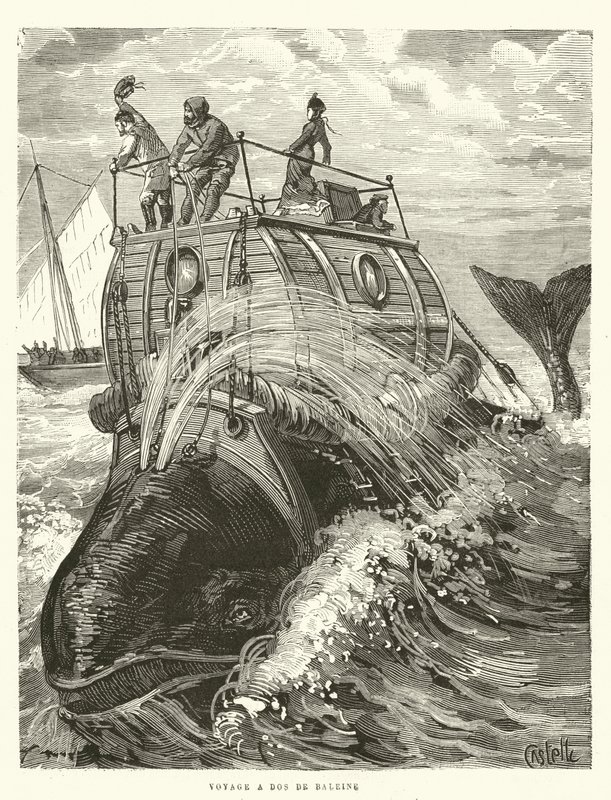 Voyage a Dos de Baleine (stik) af French School
