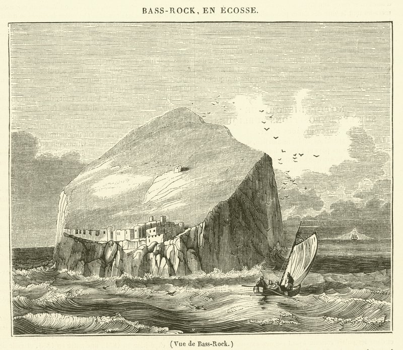 Bass-Rock View (gravering) af French School