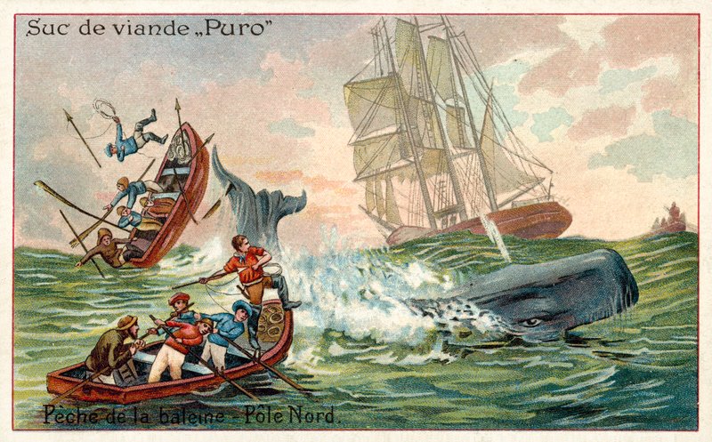 Hvalfangst i Arktis (chromolitho) af French School