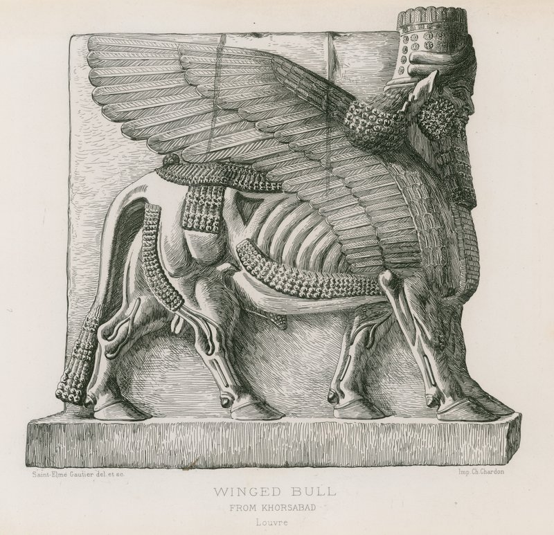 Bevinget tyr, fra Khorsabad, Louvre af French School