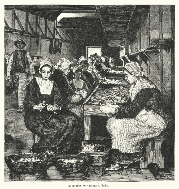 Kvinder tilbereder sardiner (gravering) af French School
