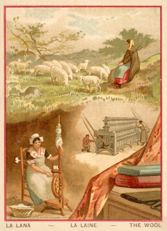 Uld (chromolitho) af French School