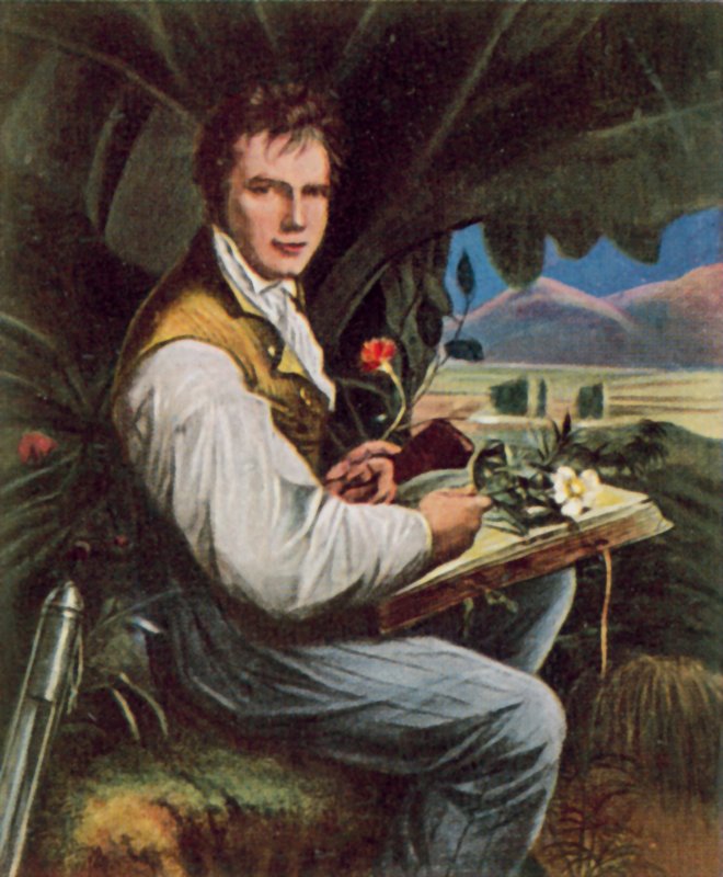 Alexander von Humboldt, preussisk geograf, naturforsker og opdagelsesrejsende (farvelitografi) af Friedrich Georg (after) Weitsch