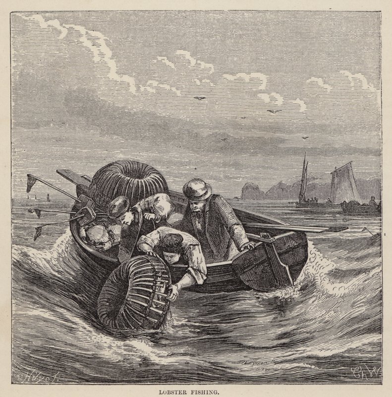 Hummerfiskeri (farvet indgravering) af Friedrich Specht