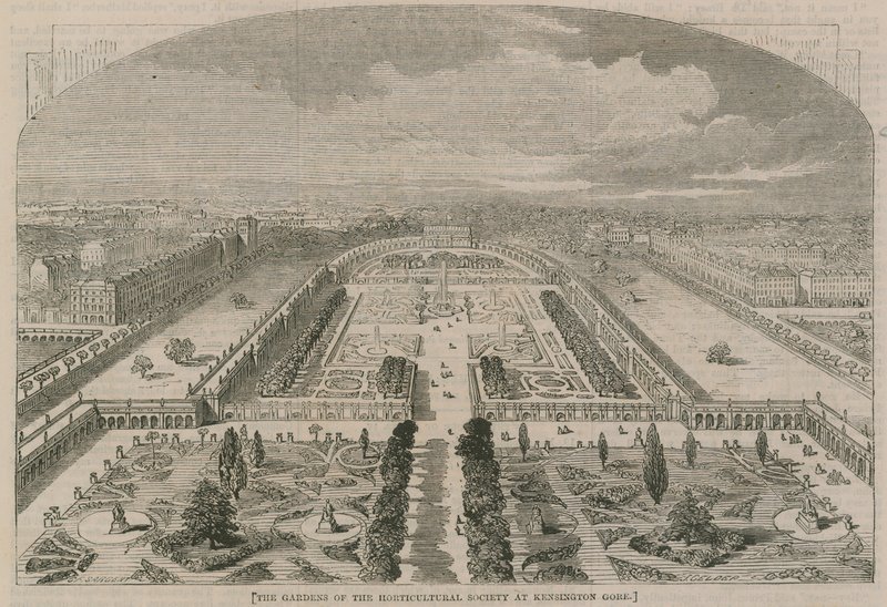 Haverne i Horticultural Society i Kensington Gore af G.F. Sargent