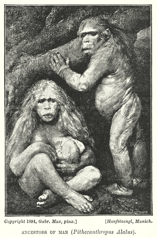 Menneskets forfædre, Pithecanthropus Alalus (litho) af Gabriel Max