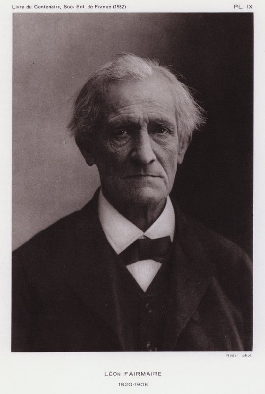 Leon Fairmaire, fransk entomolog (s/h foto) af Gaspard Felix Tournachon Nadar