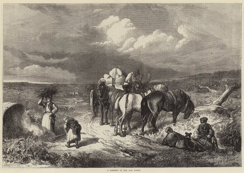 En lysning i New Forest af George Bouverie Goddard