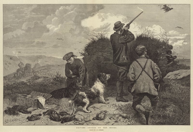 Kørsel med agerhøns på hederne af George Bouverie Goddard