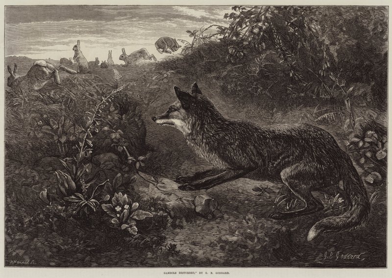 Gambols forstyrret af George Bouverie Goddard
