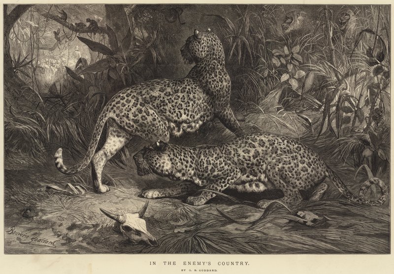 I fjendens land af George Bouverie Goddard