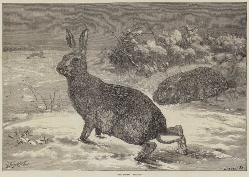 Månederne, februar af George Bouverie Goddard