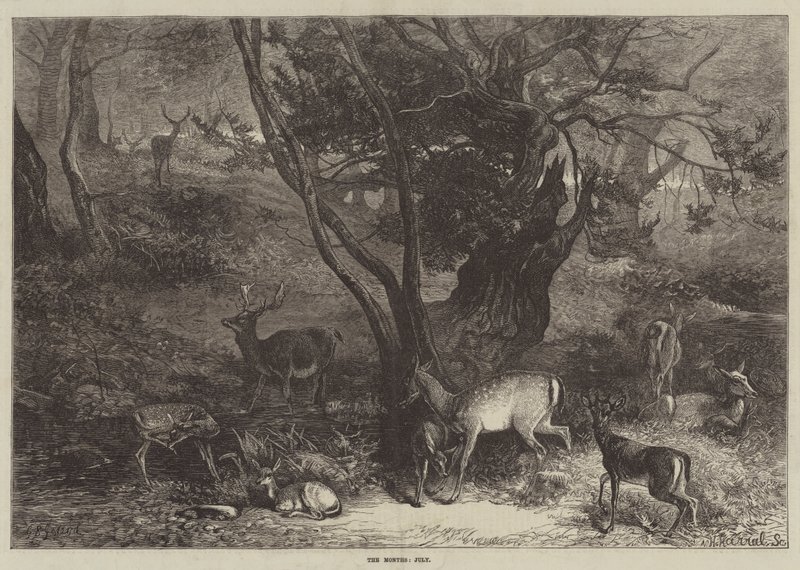 Månederne, juli af George Bouverie Goddard