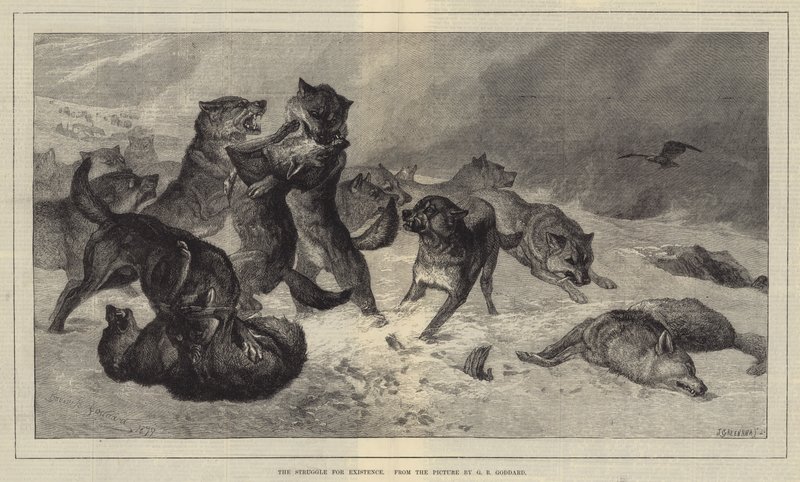 Kampen for tilværelsen af George Bouverie Goddard