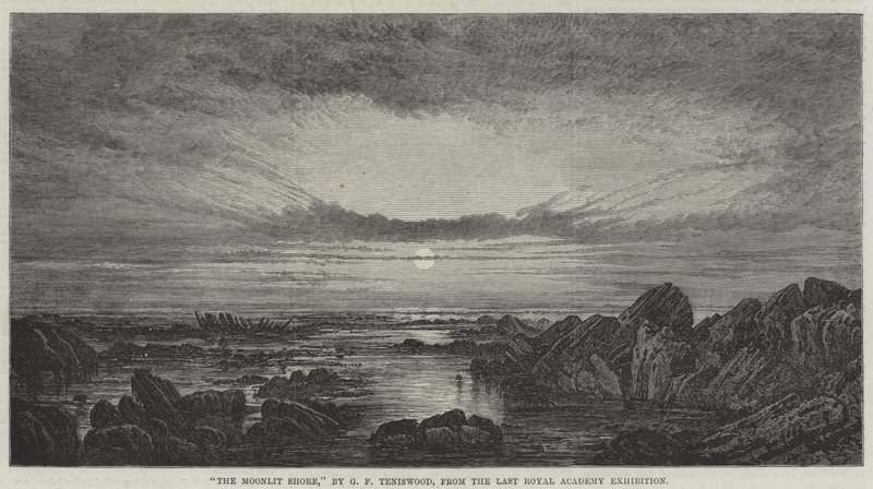 Den måneskinnede kyst af George F. Teniswood