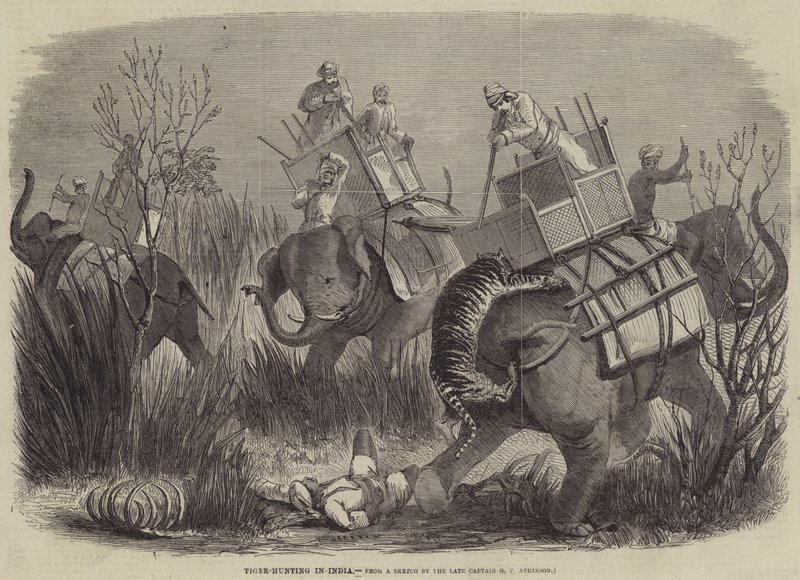Tigerjagt i Indien af George Francklin Atkinson