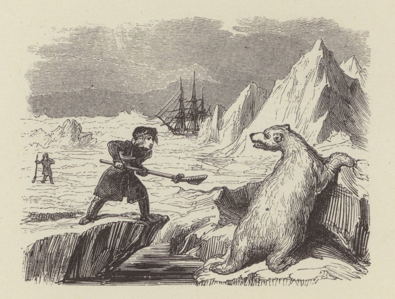 Den unge Nelson dræber en isbjørn (gravering) af George (after) Cruikshank
