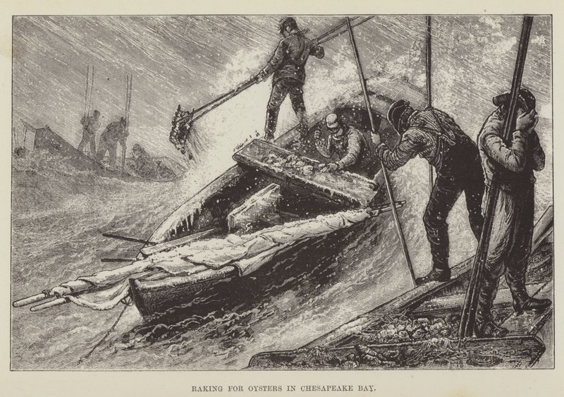 Rokning efter østers i Chesapeake Bay af George Augustus Sala