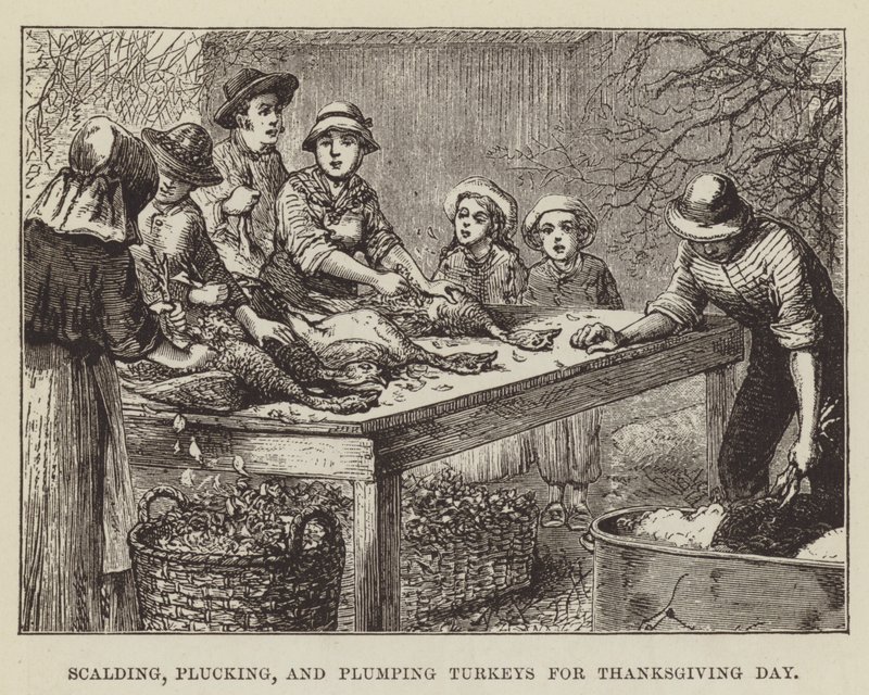 Skoldning, plukning og udplukning af kalkuner til Thanksgiving Day af George Augustus Sala