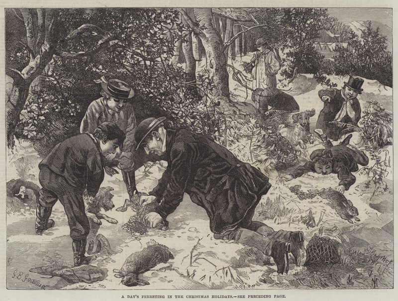 En dags gnidning i juleferien af George Bouverie Goddard