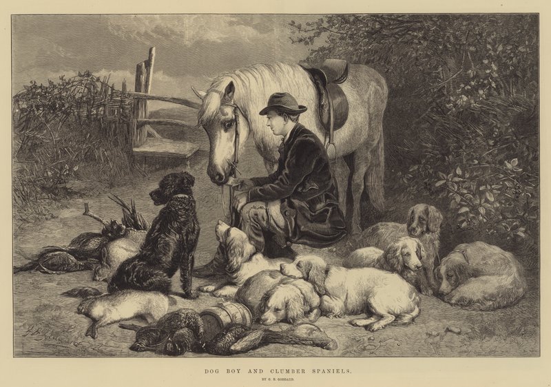 Dog Boy og Clumber Spaniels af George Bouverie Goddard