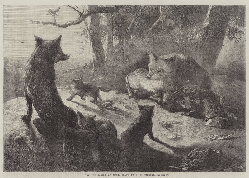 Fox-familien derhjemme af George Bouverie Goddard