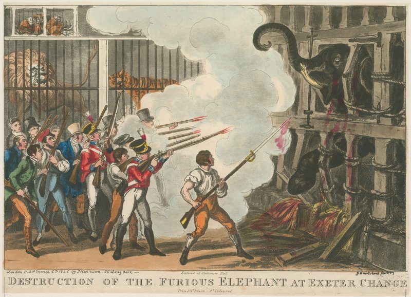 Ødelæggelse af den rasende elefant ved Exeter Change, 1826 af George Cruikshank