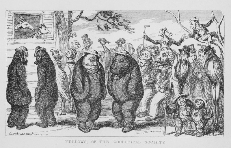 Fellows of the Zoological Society (gravering) af George Cruikshank