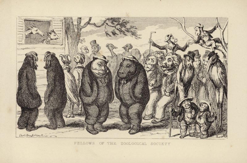 Medlemmer af Zoologisk Forening af George Cruikshank
