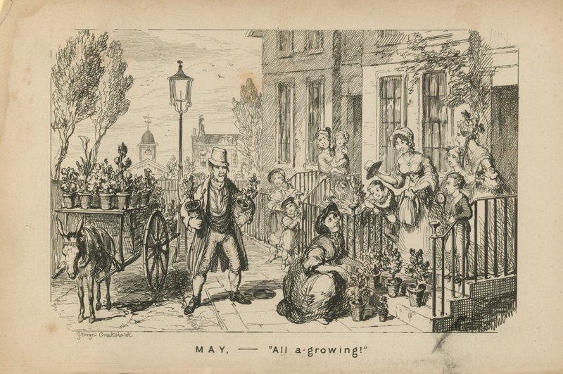 maj - alt i vækst af George Cruikshank