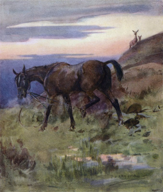 Illustration til historien om en kronhjort (farve litho) af George Denholm Armour