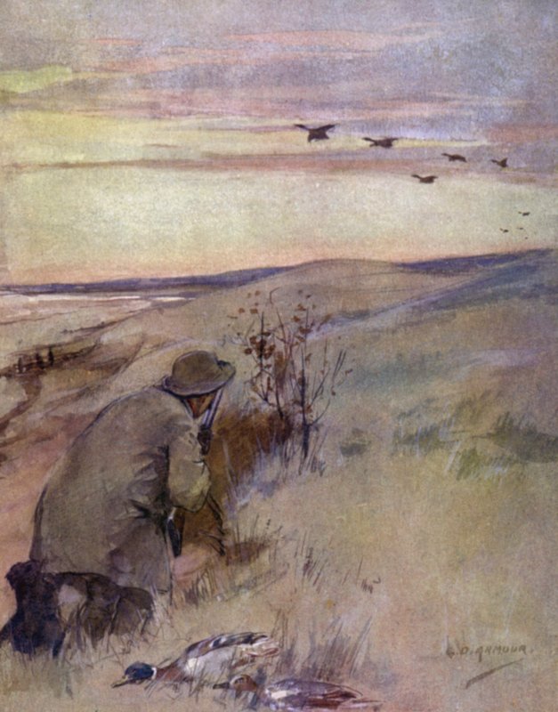 Vilde fugle: flyvende (farve litho) af George Denholm Armour