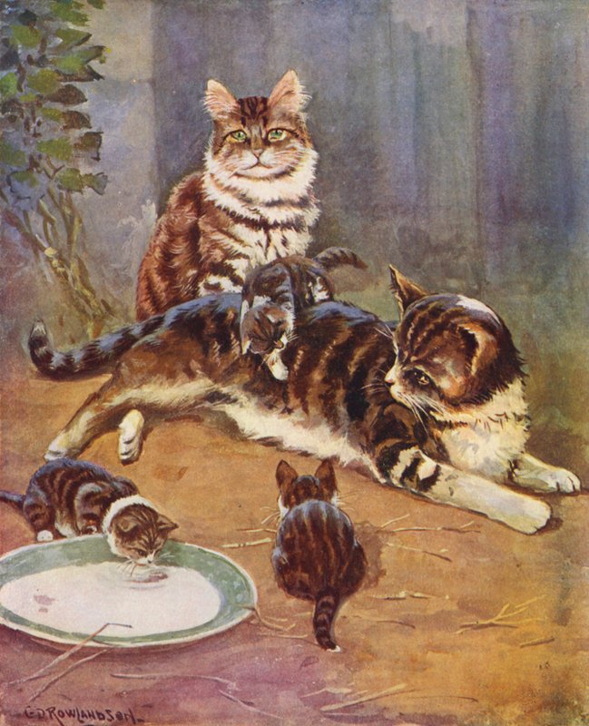 Nell var en smuk tabby (farvelitografi) af George Derville (after) Rowlandson