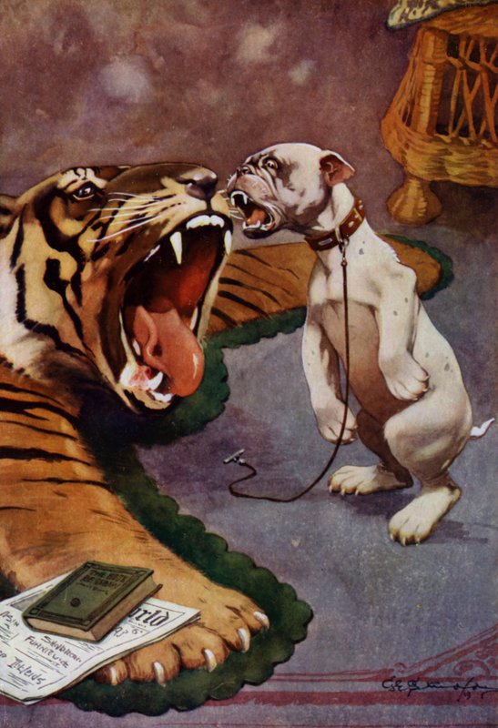 Tiger, Tiger - hund, der gøer ved tiger tæppe (farve litho) af George Ernest (after) Studdy