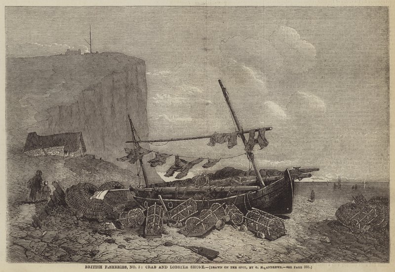 British Fisheries, No 5, Crab and Lobster Shore af George Henry Andrews