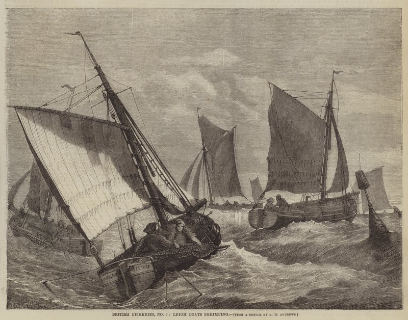 British Fisheries, nr. 6, Leigh Boats rejer af George Henry Andrews