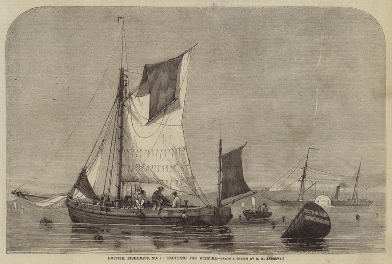 British Fisheries, nr. 7, trav for Whelks af George Henry Andrews