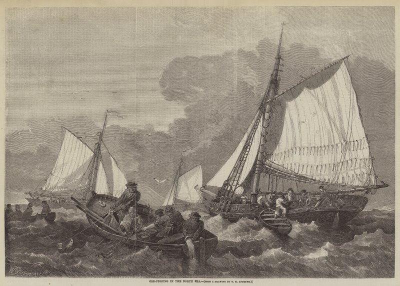 Torskefiskeri i Nordsøen af George Henry Andrews