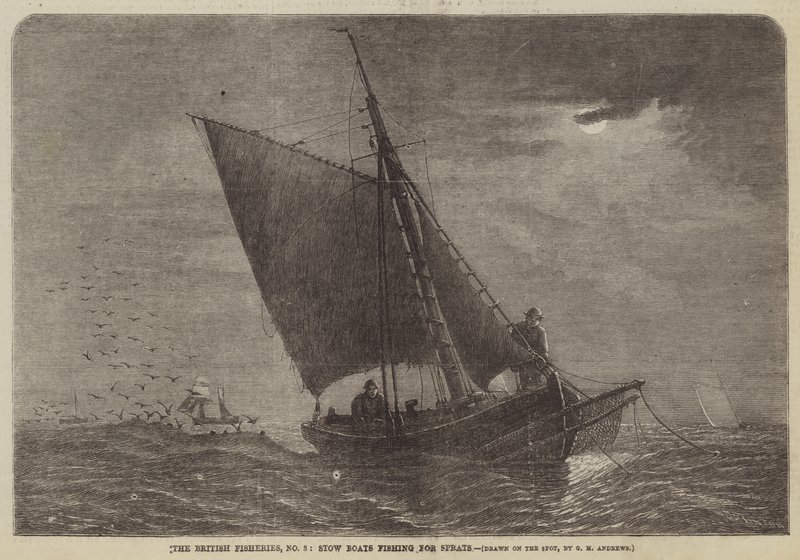 The British Fisheries, No 3, Stow Boats, der fisker efter brisling af George Henry Andrews