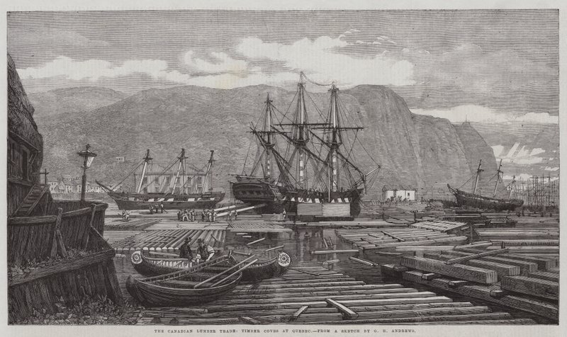 The Canadian Lumber Trade, Timber Coves i Quebec af George Henry Andrews